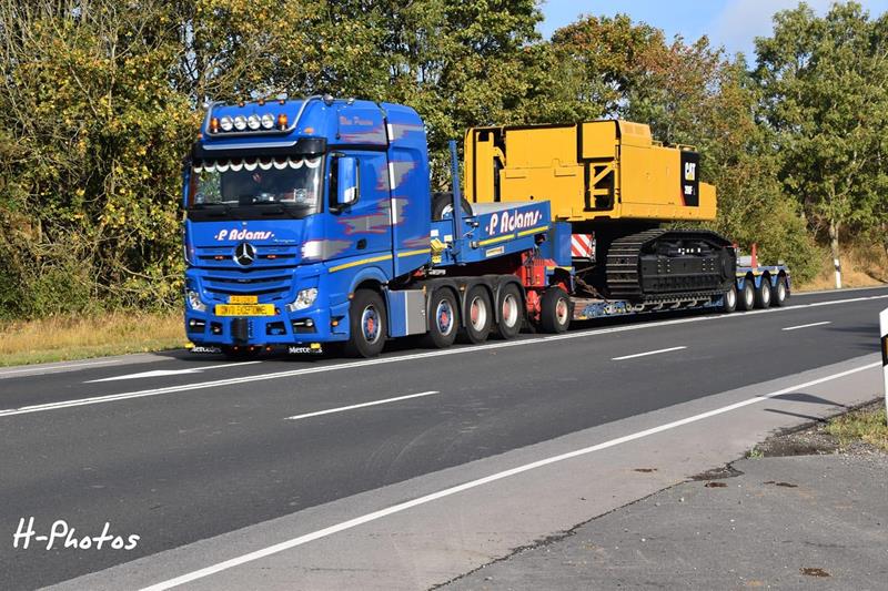 Comprehensive solutions for transport by road